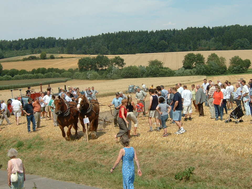 1. Silixer Heimattag am 20.07.2003, Bild 4